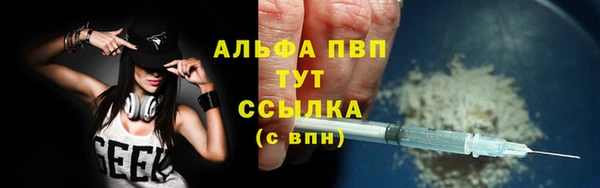 индика Балабаново