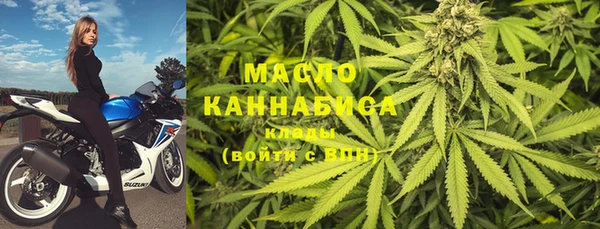 индика Балабаново
