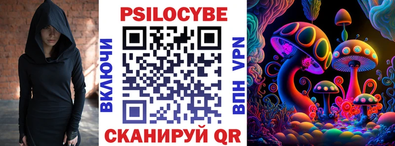 Псилоцибиновые грибы Magic Shrooms  Купить где  Чернушка 